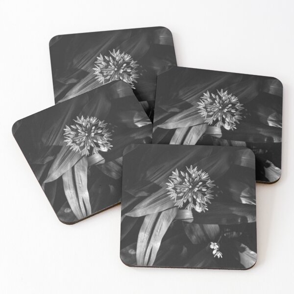Item preview, Wild Garlic designed and sold by Jay Mayne.