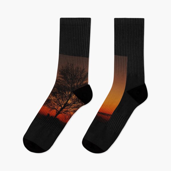 Item preview, lone tree in the New Forest designed and sold by photosforall.