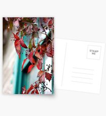 Red Vine Postcards