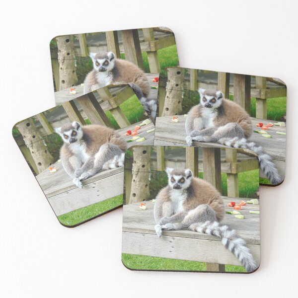 Artikelvorschau, Ring Tailed Lemur entworfen und verkauft von GillyMc.