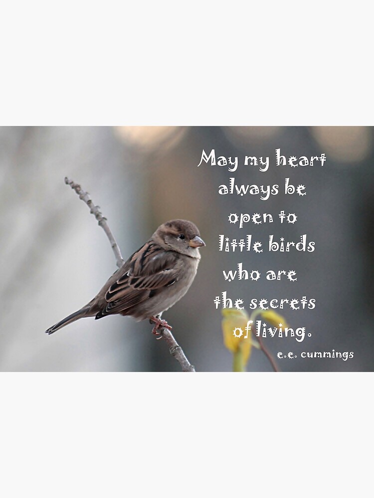 Carte De Vœux Sparrow Avec Citation Sur Les Petits Oiseaux Par Backyardwonders Redbubble Carte De Vœux Sparrow Avec Citation Sur Les Petits Oiseaux Par Backyardwonders Redbubble