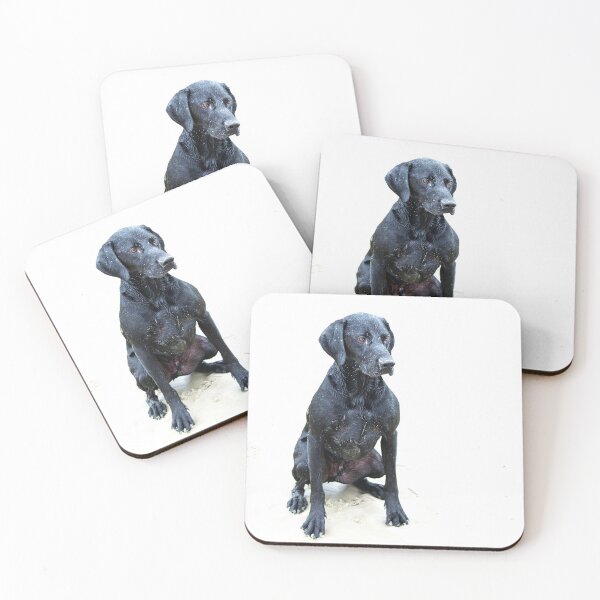 Item preview, Alfred designed and sold by KGibbs.