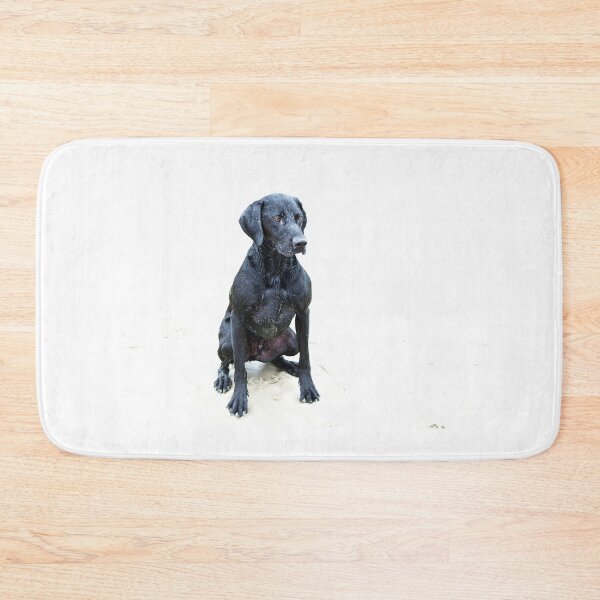 Item preview, Alfred designed and sold by KGibbs.