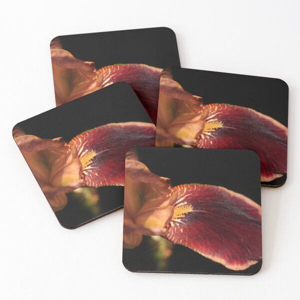 Item preview, Colorful iris in summer garden designed and sold by olena2552.