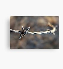 Look Away Canvas Print