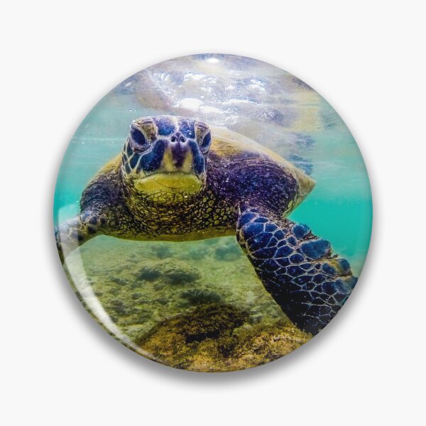 Item preview, Honu designed and sold by mpotter7.