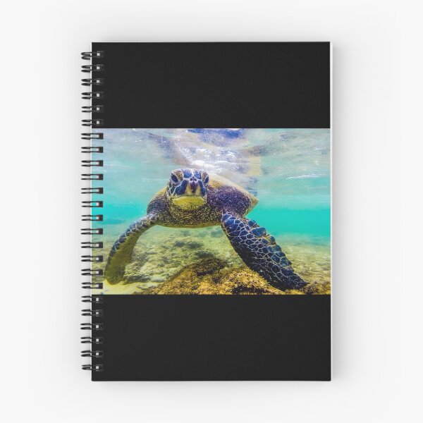 Item preview, Honu designed and sold by mpotter7.