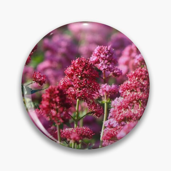Item preview, Red valerian designed and sold by GreyFeatherPhot.