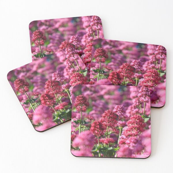 Item preview, Red valerian designed and sold by GreyFeatherPhot.