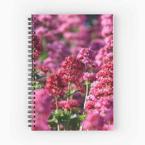 Item preview, Red valerian designed and sold by GreyFeatherPhot.
