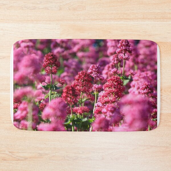Item preview, Red valerian designed and sold by GreyFeatherPhot.