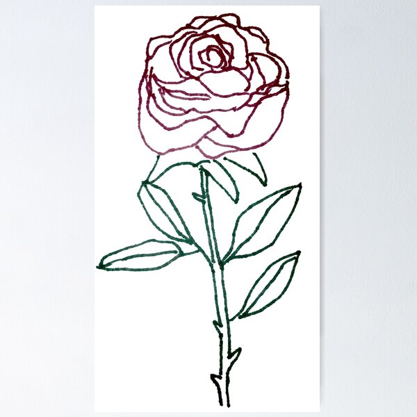 Aperçu de l'œuvre Rose créée et vendue par AmandaCMurphy.