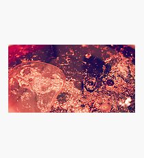 Oil Photographic Print