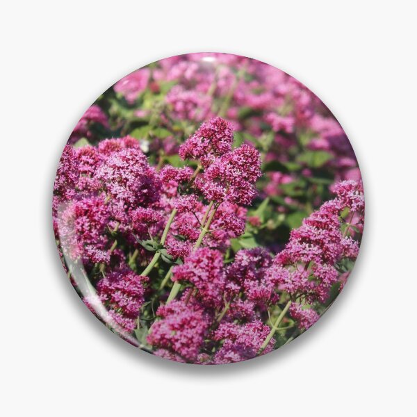 Item preview, A sea of pink designed and sold by GreyFeatherPhot.
