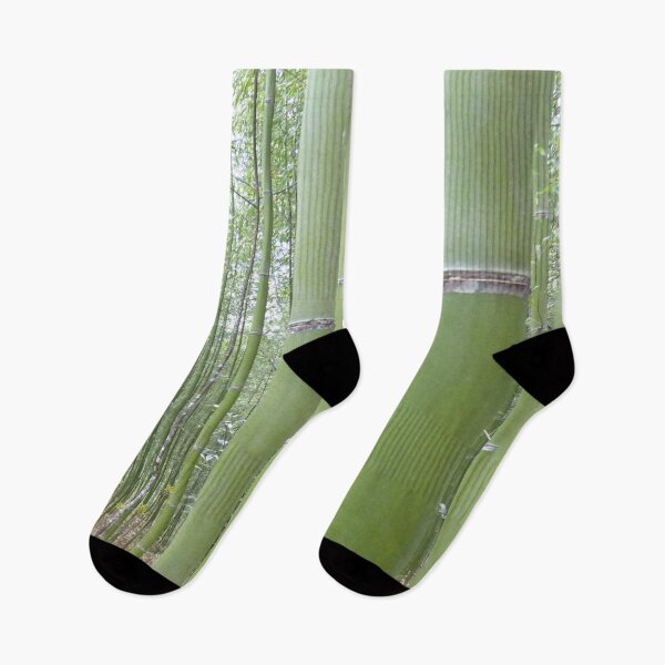Item preview, Bamboo Plants Plantation, India designed and sold by worldways.