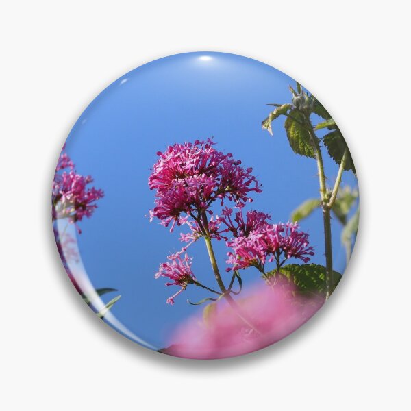 Item preview, Valerian and blue skies designed and sold by GreyFeatherPhot.