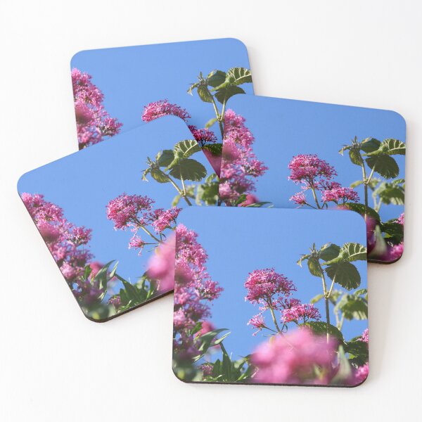 Item preview, Valerian and blue skies designed and sold by GreyFeatherPhot.