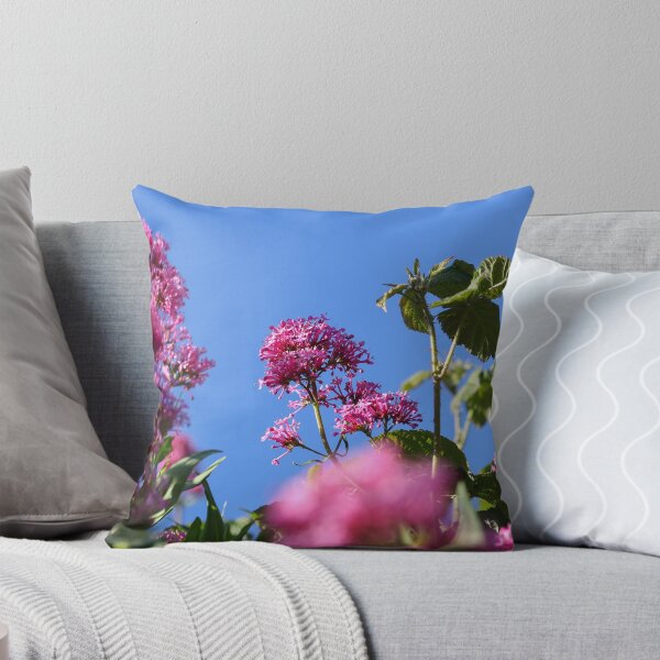 Item preview, Valerian and blue skies designed and sold by GreyFeatherPhot.