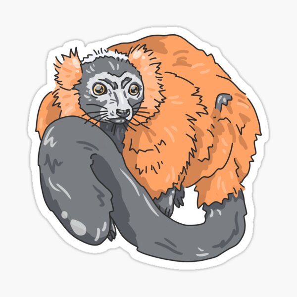 Ruffed Lemur Gifts & Merchandise Redbubble