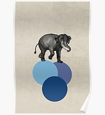 elephant balance Poster