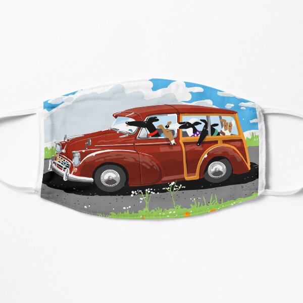 Are we there yet? Flat Mask