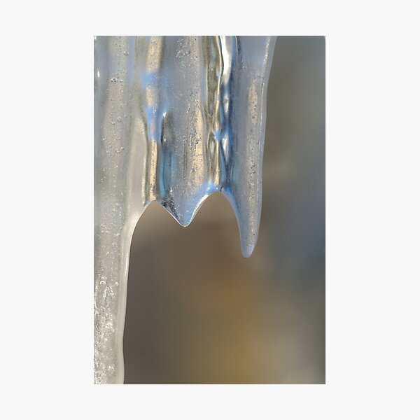 Icicle Photographic Print