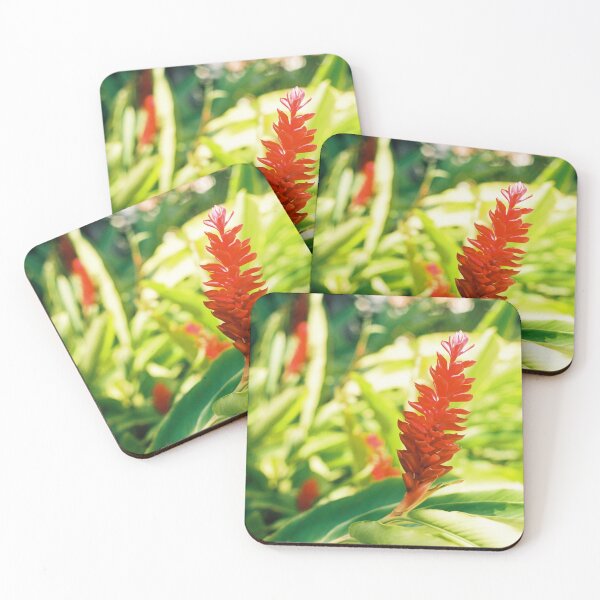 Item preview, Red Ginger Flower on Film designed and sold by Carla Alaimo.