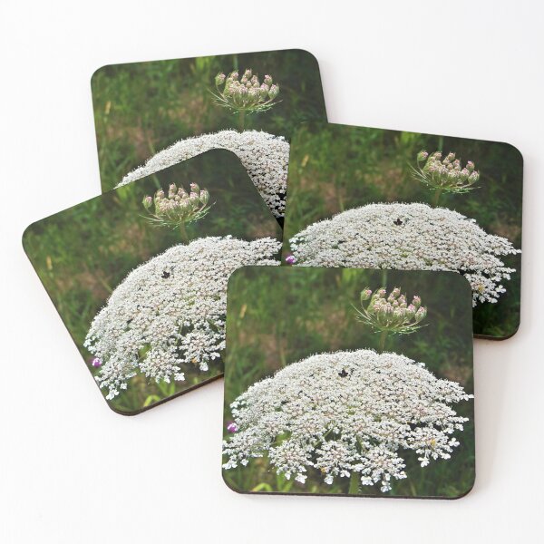 Item preview, Giant Queen Anne's Lace designed and sold by CJGrimes.