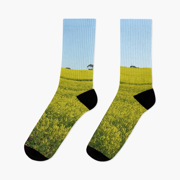 Item preview, Yellow Canola flower Field in Spring. Caledon, South Africa designed and sold by worldways.
