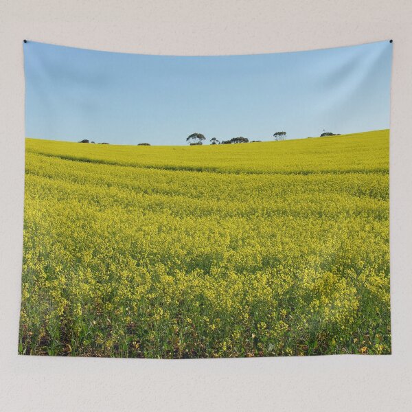 Item preview, Yellow Canola flower Field in Spring. Caledon, South Africa designed and sold by worldways.