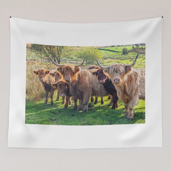 Item preview, Local scenes and giftware from The Peak District. designed and sold by angieblue-25.