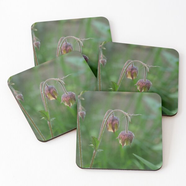 Item preview, Flowers Geum Rivale close-up designed and sold by mrivserg.