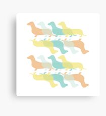 Dachshund Canvas Print