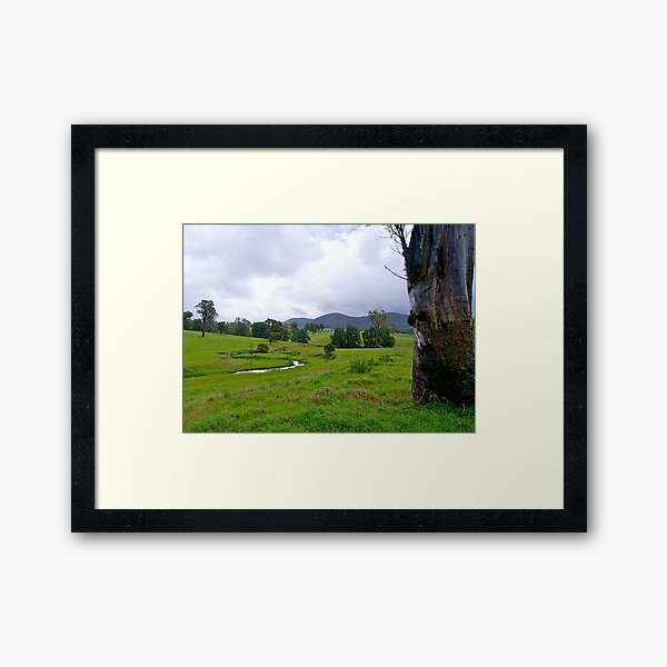 Australian countryside, Bega, NSW. Framed Art Print
