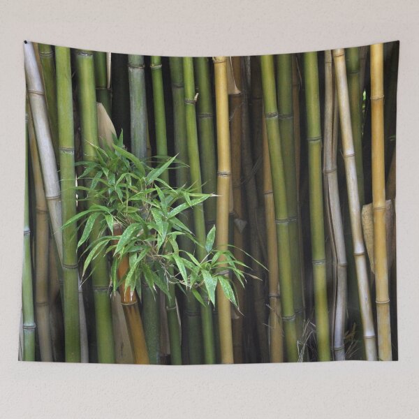 Item preview, Bamboo Branch Canes Background Exotic Plants designed and sold by worldways.