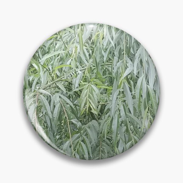 Item preview, Willow Leaves designed and sold by Photosinic.