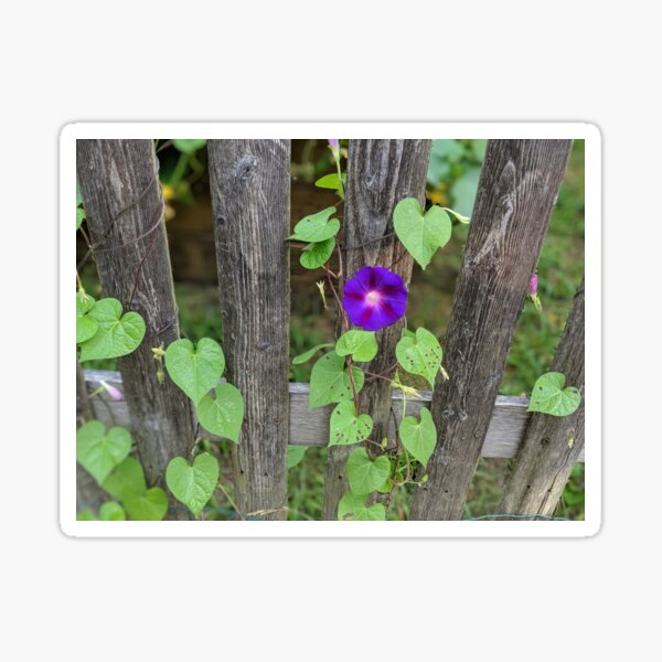Lone Flower Sticker