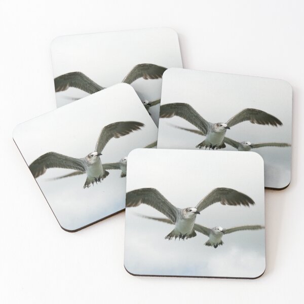 Item preview, Laughing Gulls  designed and sold by danceofthemad.