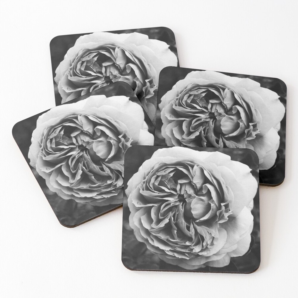 Item preview, Coasters (Set of 4) designed and sold by nloooo.