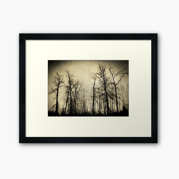 Wicked Woods Framed Art Print
