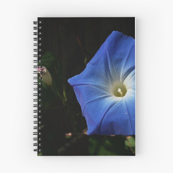 Item preview, Blue designed and sold by KGibbs.
