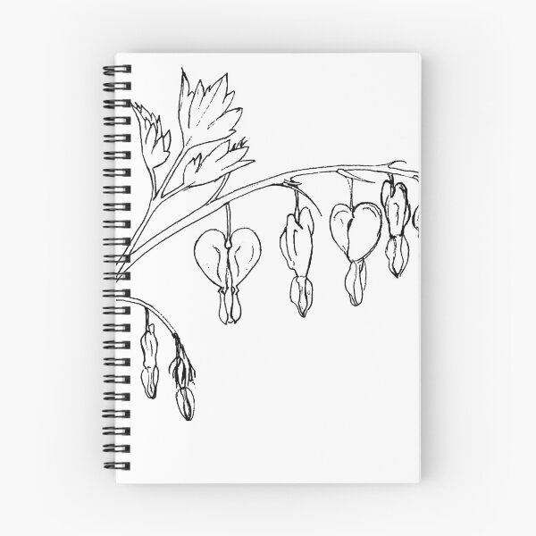Item preview, Bleeding Hearts Botanical Drawing designed and sold by Emily Bickell.