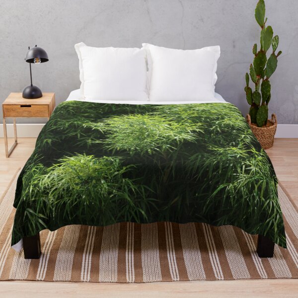 Item preview, Green Bamboo Grove Tropical Plant designed and sold by worldways.
