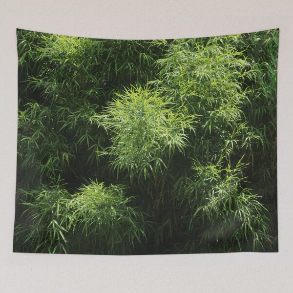 Item preview, Planta tropical de arboleda de bambú verde designed and sold by worldways.