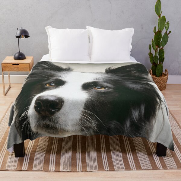 Border Collie Running In The Water Fleece Throw coperta, Fuzzy