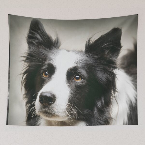 Item preview, Working Border Collie designed and sold by ernest123.