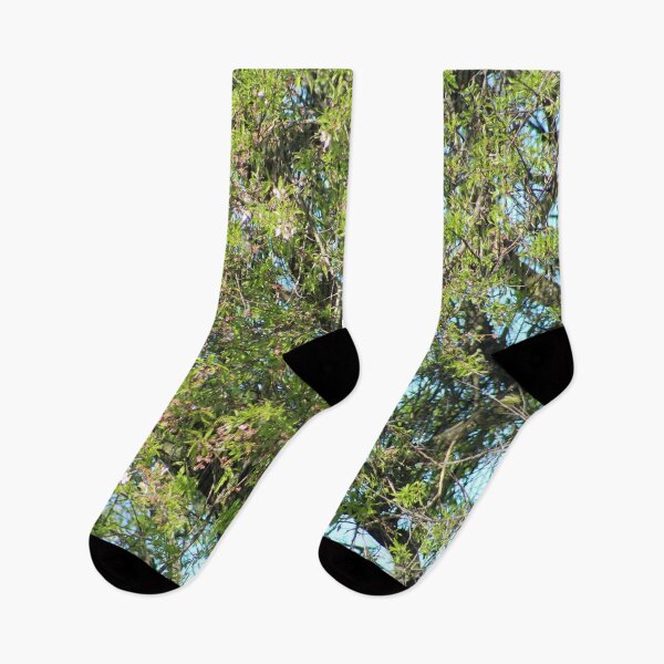 Item preview, Flowering Blooming Tree Spring Floral designed and sold by worldways.