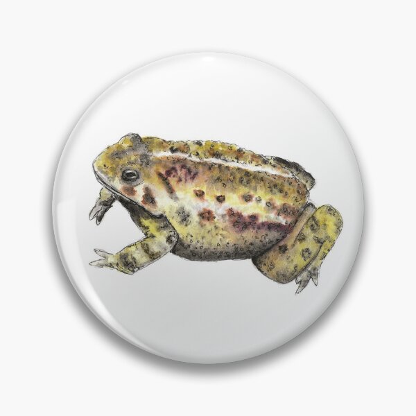 Item preview, Watercolour Toad designed and sold by Francesdarvell.