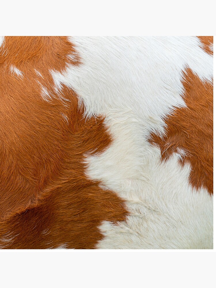 Coussin « Fausse peau de bovin », par cadinera | Redbubble