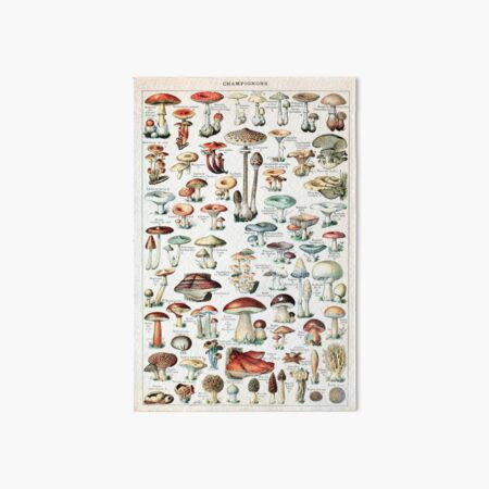 Adolphe Millot - Champignons pour tous - French vintage poster Art Board Print